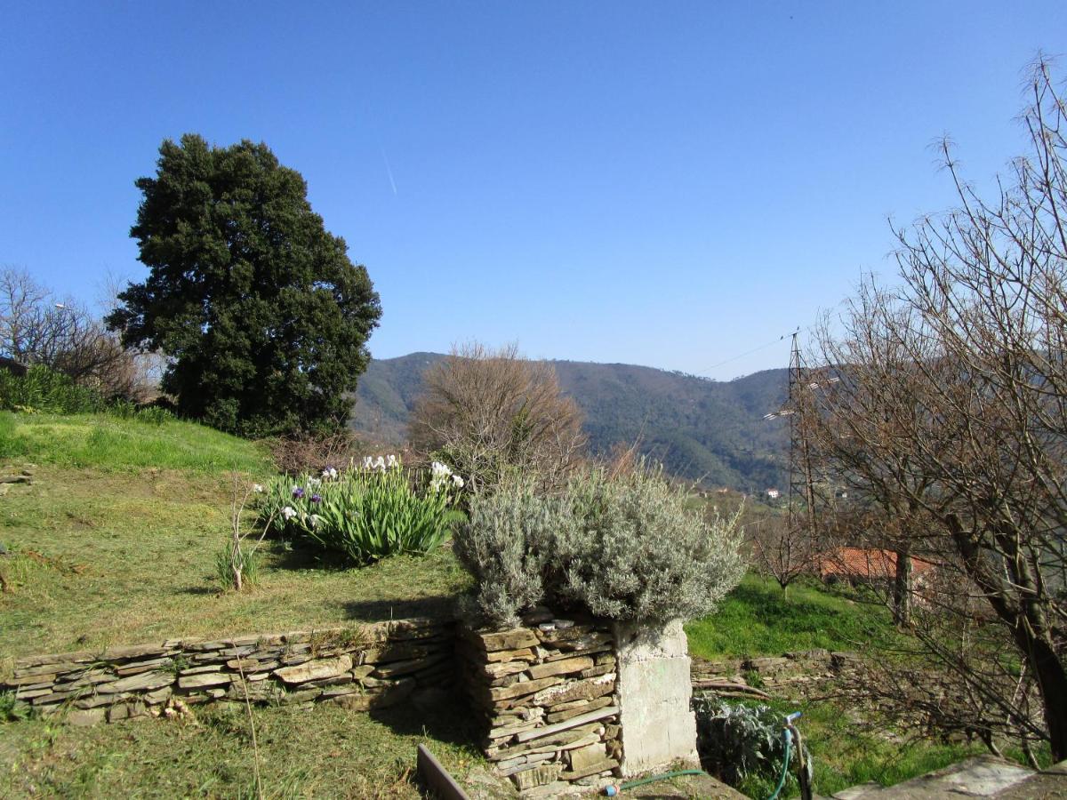 Cinque Terre & Portofino Lodge-Dependance Bracco โมเนเลีย ภายนอก รูปภาพ