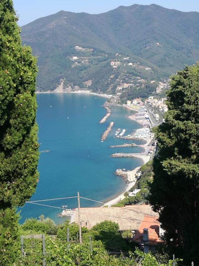 Cinque Terre & Portofino Lodge-Dependance Bracco โมเนเลีย ภายนอก รูปภาพ